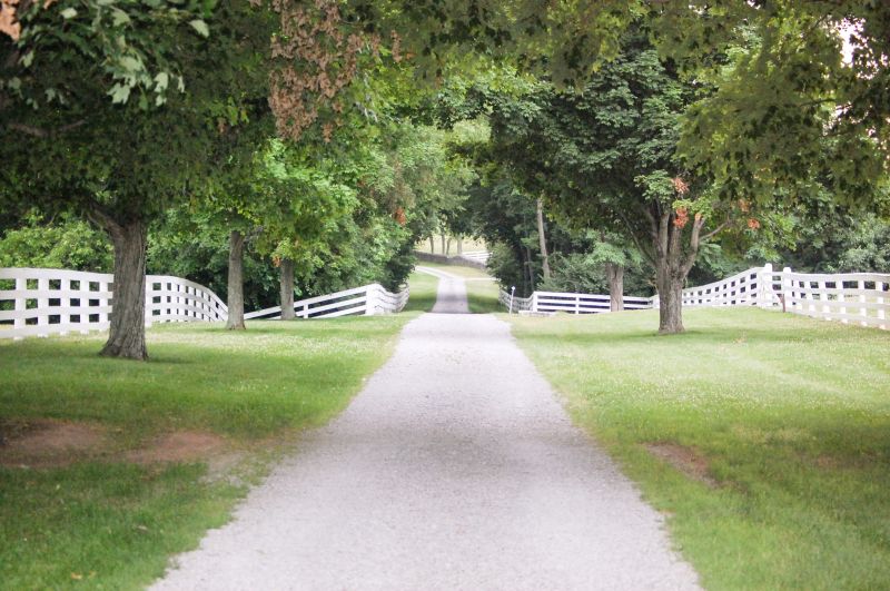 Spring Construction Site